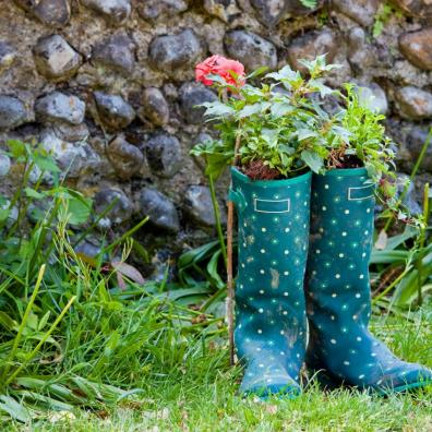 wellington boots homebase