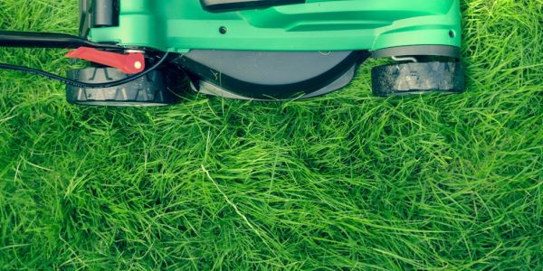 Why a hosepipe ban is the wrong time to mow your lawn