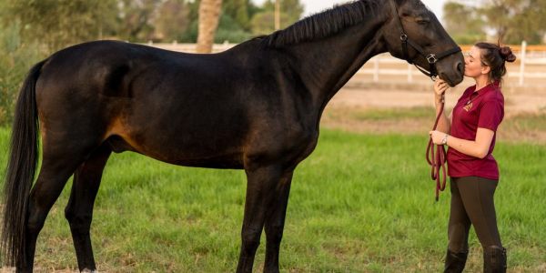 5 Things New Horse Owners Often Underestimate